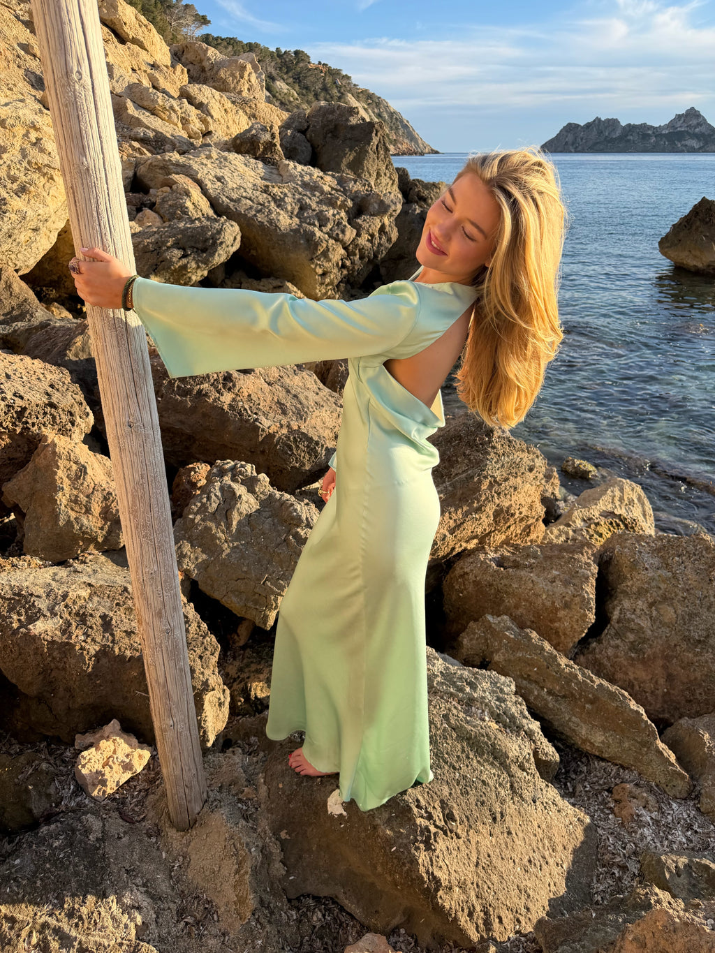 Spring Elite Dress