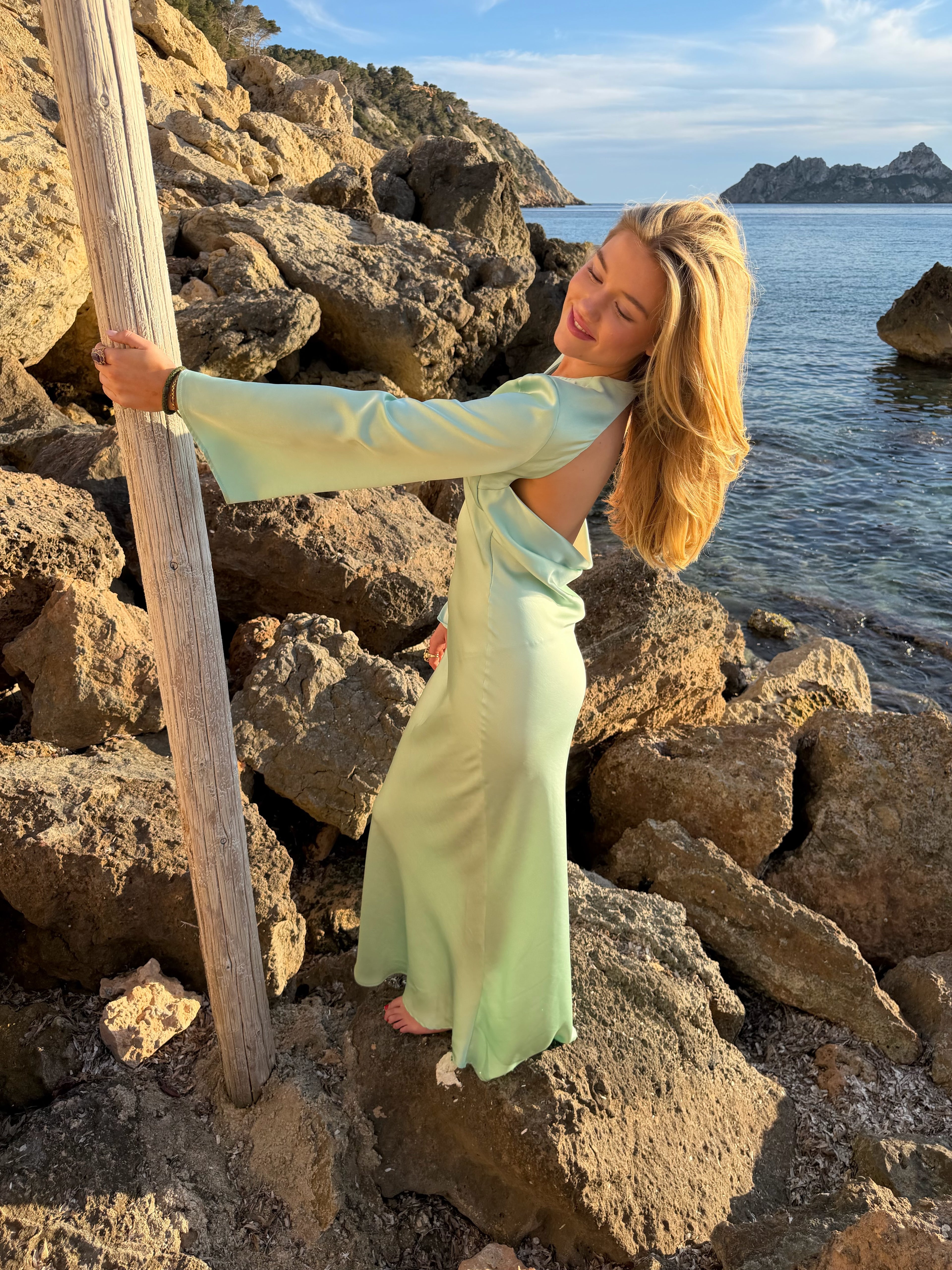 Spring Elite Dress