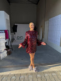 Glimmer Dress